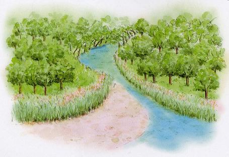 史跡黒浜貝塚低地部（海岸線と湧水）復元図（抜粋）