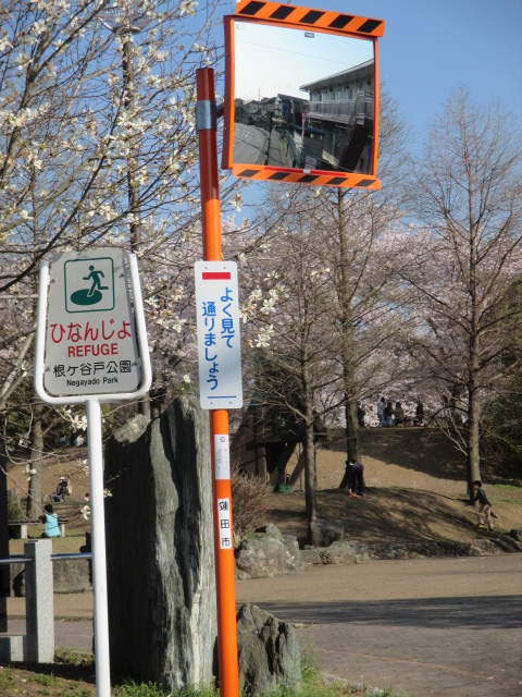 保障できる あんずの安全標識カーブミラー カーブミラー 600×800mm S 869-33