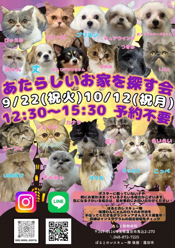 R8.9.22譲渡会