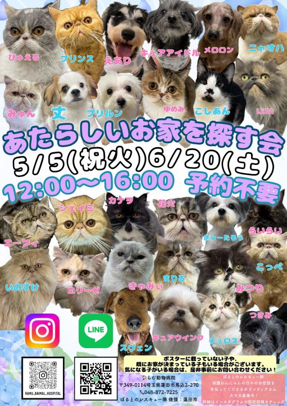 譲渡会