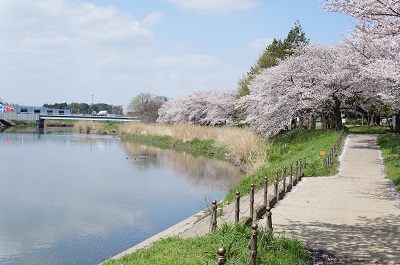 osanpo_photo_01