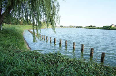 osanpo_photo_03