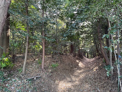 osanpo_photo_04