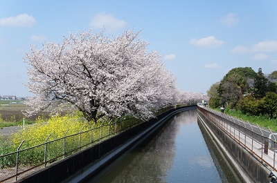 osanpo_photo_06