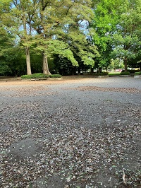 中央広場