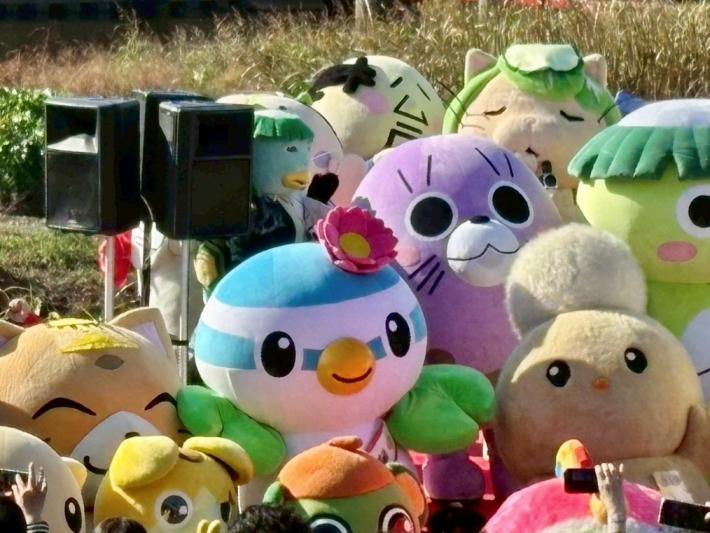 R7志木市民まつり