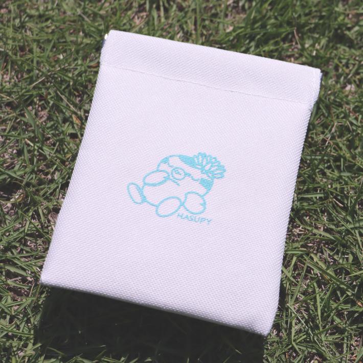 hspypouch