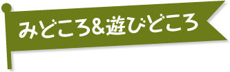 みどころ&遊びどころ