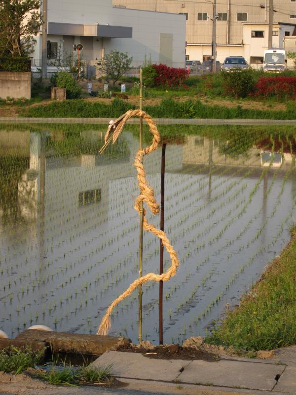 伊豆島の大蛇（北側）